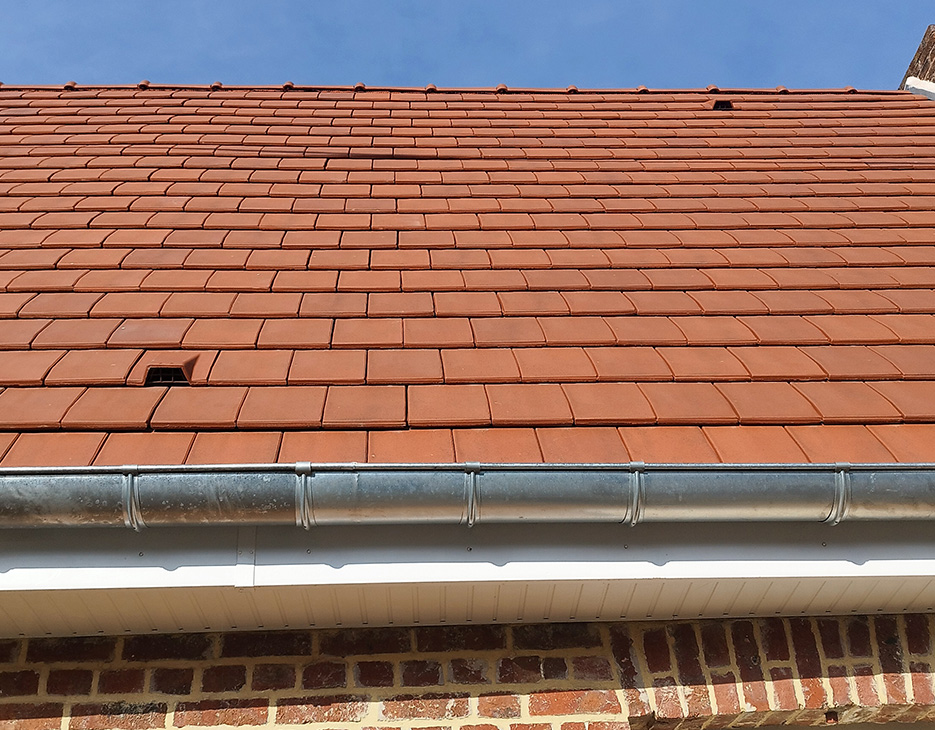 cache-moineaux-sous-toiture